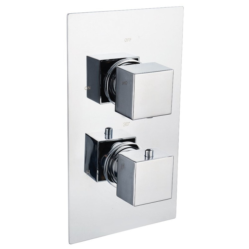 Ebony Square Twin Thermostatic Shower Valve with 1 Outlet (controls 1 function)